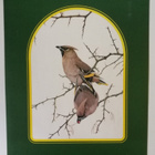 Taidejuliste/art print, 4 kpl lintuaiheisia, T. Lambert - pikkukuva 2