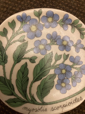 ESTERI TOMULA: LUHTALEMMIKKI
