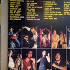 SHA NA NA :: THE GOLDEN AGE OF ROCK'N'ROLL : 2 x VINYYLI LP - pikkukuva 2