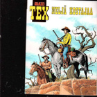 MAXI-TEX 46: Neljä kostajaa - pikkukuva 1