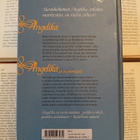 Sergeanne Golon - Angelika ; Angelika ja kuningas (sid.) - pikkukuva 2