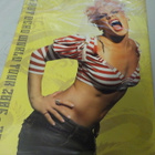 P!NK - I'M NOT DEAD WORLD TOUR 2006-2007 KIERTUEKIRJA - pikkukuva 2