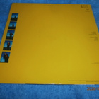 FEARGAL SHARKEY - WISH - LP - pikkukuva 2