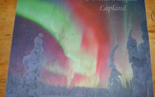 Norhern Lights Lapland hiirimatto