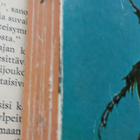Edgar Allan Poe - Korppi ja kultakuoriainen (pokkari) - pikkukuva 2