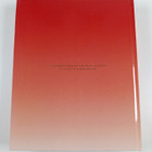 China vol. 1-2 : New Chinese porcelain sculpture = Uutta ... - pikkukuva 2