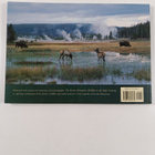 Shin Yoshino : Rocky Mountains : Wildlife in the high cou... - pikkukuva 2