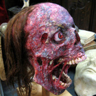 Uniikki makaaberi kallo ”Freddy´s cousin” - pikkukuva 3