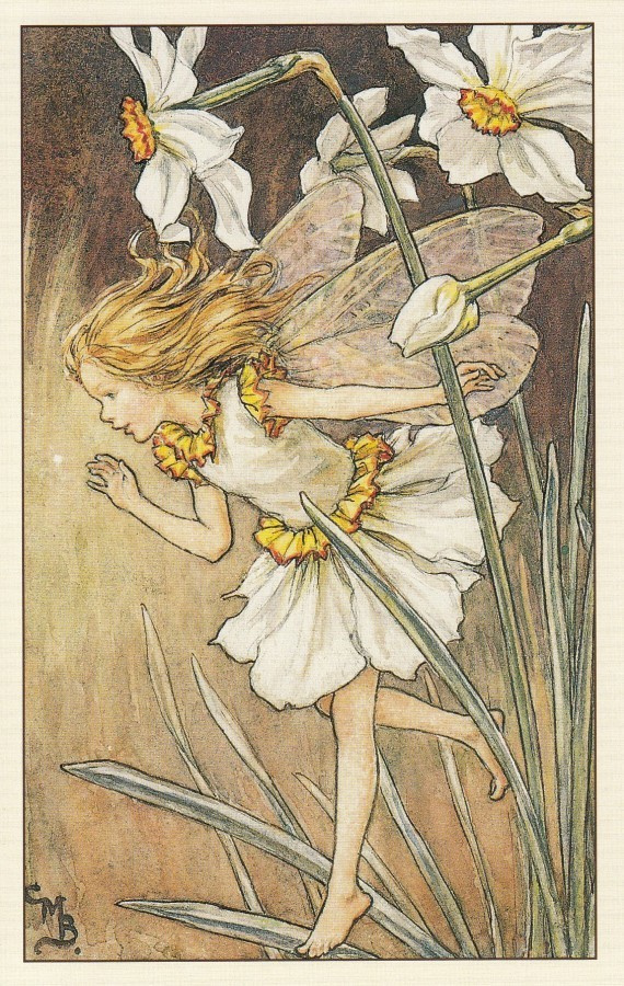 Cicely Mary Barker: Kukkakeijut narsissi