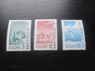 Tuberkuloosi 1951 **