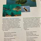 KARJAANJOEN VESISTÖ - pikkukuva 2