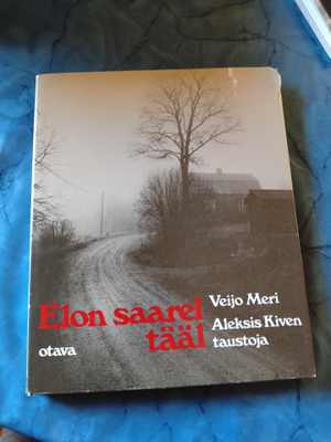 veijo meri elon saarel tääl aleksisi kiven taustoja