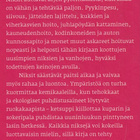 Irmeli Castrén: Nykynaisen niksit - pikkukuva 3