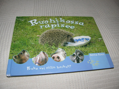 Anna Roos Ruohikossa rapisee