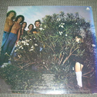 LP Mr Big: Photographic smile - pikkukuva 2