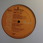 PLAYER :: SPIES OF LIFE :: VINYYLI LP 1982 !! - pikkukuva 3