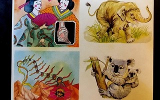 Tarra arkki Elefantti koala