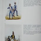 Army of Kosciuszkowsky: (Taidehistoria) Wojsko powstania K. - pikkukuva 3
