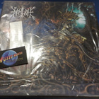 DEMILICH - 20TH ADVERSARY OF EMPTINESS UUSI 3LP BOKSI - pikkukuva 1