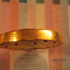 Spirit of Nature 2007 Taidemitali kullattu Satu Loukkola. - pikkukuva 5