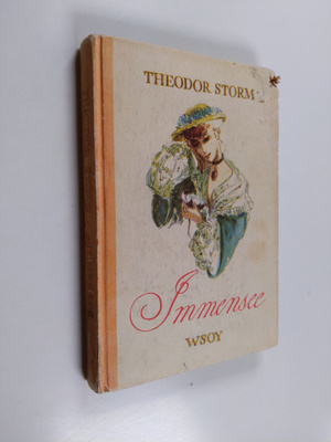 Theodor Storm : Immensee ja muita novelleja