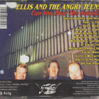 ELLIS AND THE ANGRY TEENS - Can You Hear the Sound... - pikkukuva 2