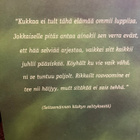 KARJALAISII KATKISMUS - pikkukuva 2