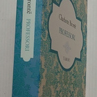 Charlotte Bronte - Professori - pikkukuva 2