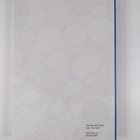 Liquidity, risks and speed in payment and settlement syst... - pikkukuva 2