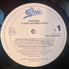 Richenel - A Year Has Many Days lp - pikkukuva 3