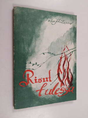 Toivo Hiilasvuo : Risut tulessa