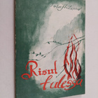 Toivo Hiilasvuo : Risut tulessa - pikkukuva 1