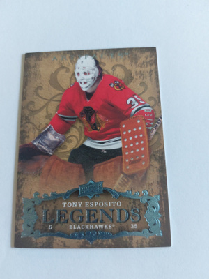 2008-09 Artifacts Blue #137 Tony Esposito LEG /50