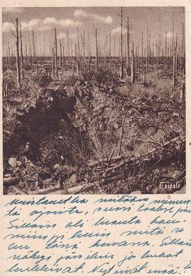 KENTTÄPOSTI TAIPALE TERENTTILÄN METSÄN JÄTTEITÄ