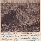 KENTTÄPOSTI TAIPALE TERENTTILÄN METSÄN JÄTTEITÄ - pikkukuva 1