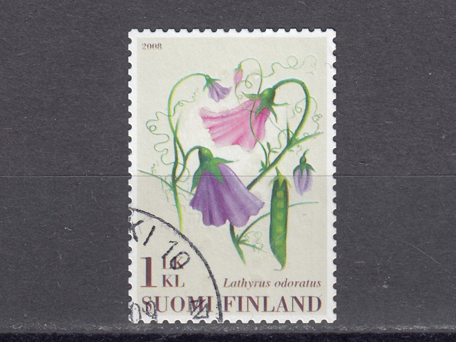 2008 Lape 1891 Hajuherne