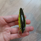 Viehe 8cm - pikkukuva 3