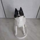 Lomonosov Posliini Figuuri "Laika" - pikkukuva 2