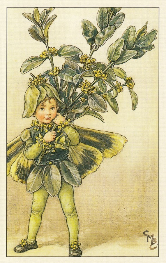 Cicely Mary Barker: Puksipuun keiju