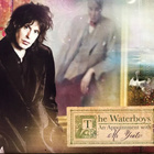 WATERBOYS - APPOINTMENT - pikkukuva 1