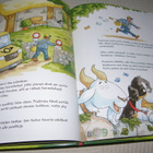 Niermeyer - Rupp Vahtikoira Vikko - pikkukuva 4