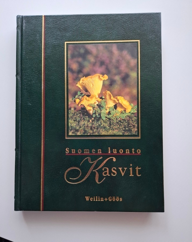 Upea kirja : Sienet , bakteerit , itiökasvit. Suomen Luonto