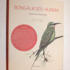 Bongauksen hurma - Lintuharrastuskirjoituksia - pikkukuva 1