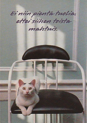 Postikortti, Eläinaihe, eläimet , kissa
