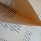 Lao-tse - Salaisuuksien tie (nid.) - pikkukuva 2