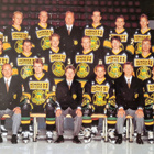 Ilves Jääkiekkojoukkueen juliste 1993-1994. 61×44cm - pikkukuva 3