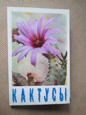 CCCP: neljätoista vintage kaktus postikorttia