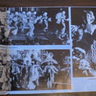 Bal du Moulin Rouge Paris follement - pikkukuva 3