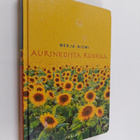 Merja Niemi : Aurinkoista ruokaa - pikkukuva 1