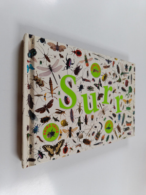 Caroline Bingham : Surr